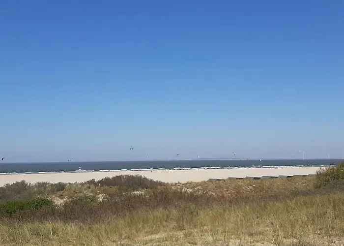 Boszicht aan de Kust 1