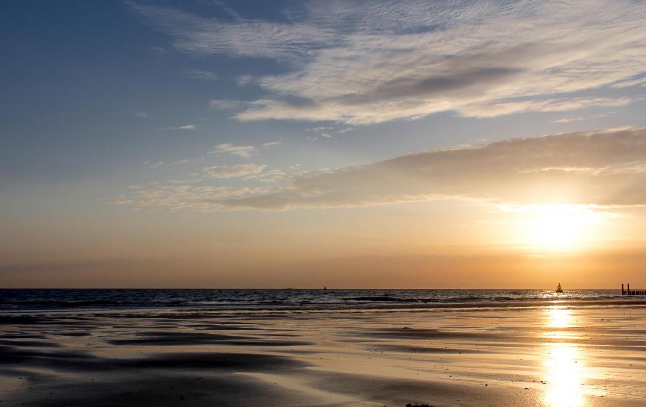 Boszicht Aan De Kust 1 Appartement