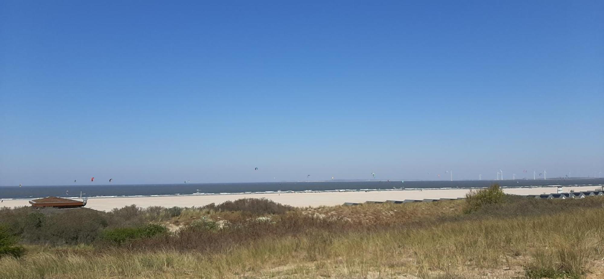 Boszicht Aan De Kust 1 * Oostkapelle